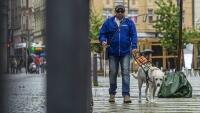 vodicipes1irma - kopie